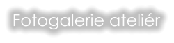 Fotogalerie ateliér